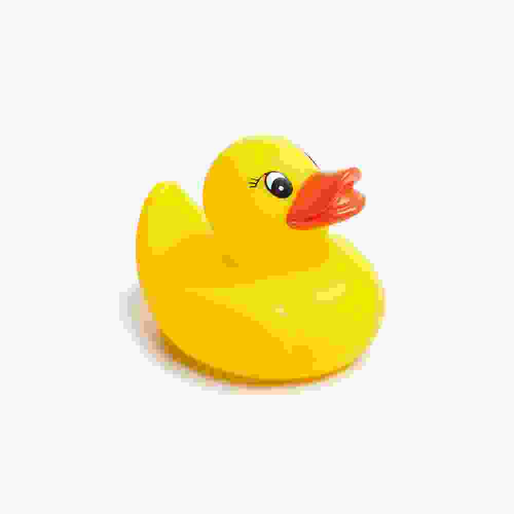 Water Duck